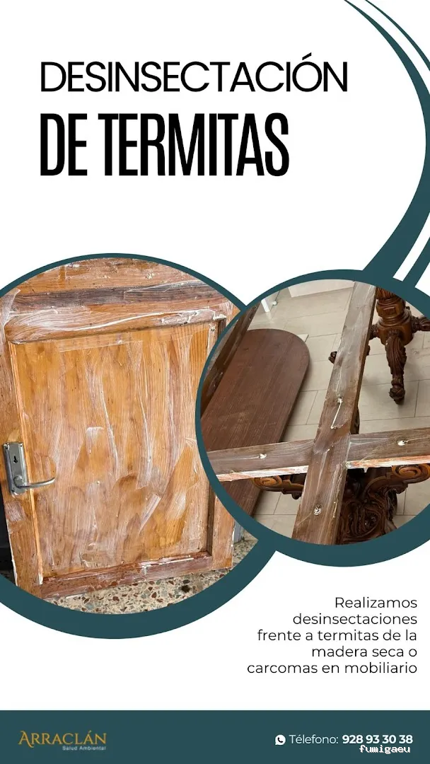 Arraclán Salud Ambiental