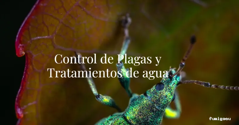 DISTMAR Control de Plagas | Pest Control Orihuela Costa