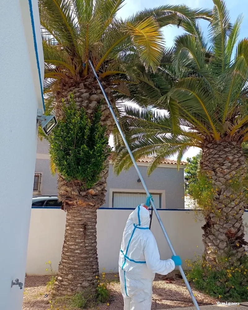 DISTMAR Control de Plagas | Pest Control Orihuela Costa