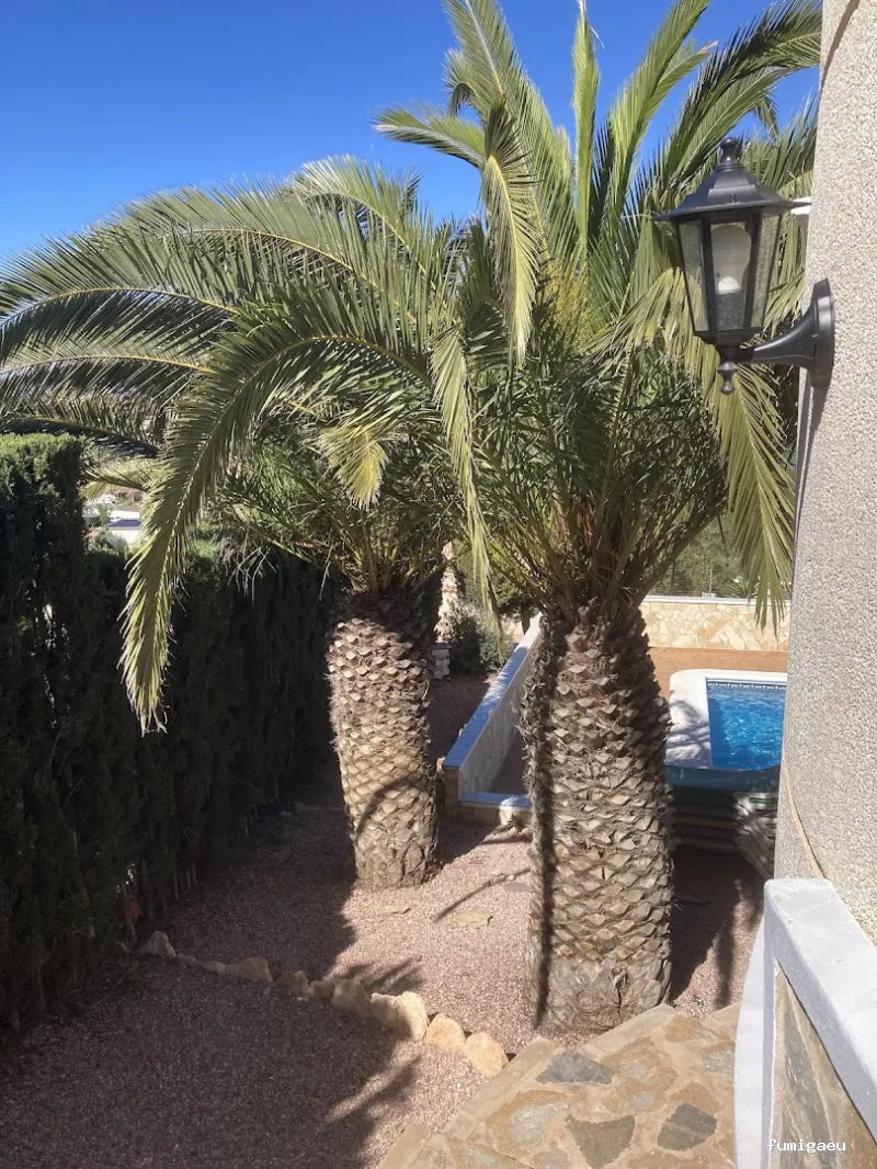 DISTMAR Control de Plagas | Pest Control Orihuela Costa