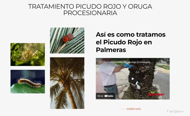 DISTMAR Control de Plagas | Pest Control Orihuela Costa