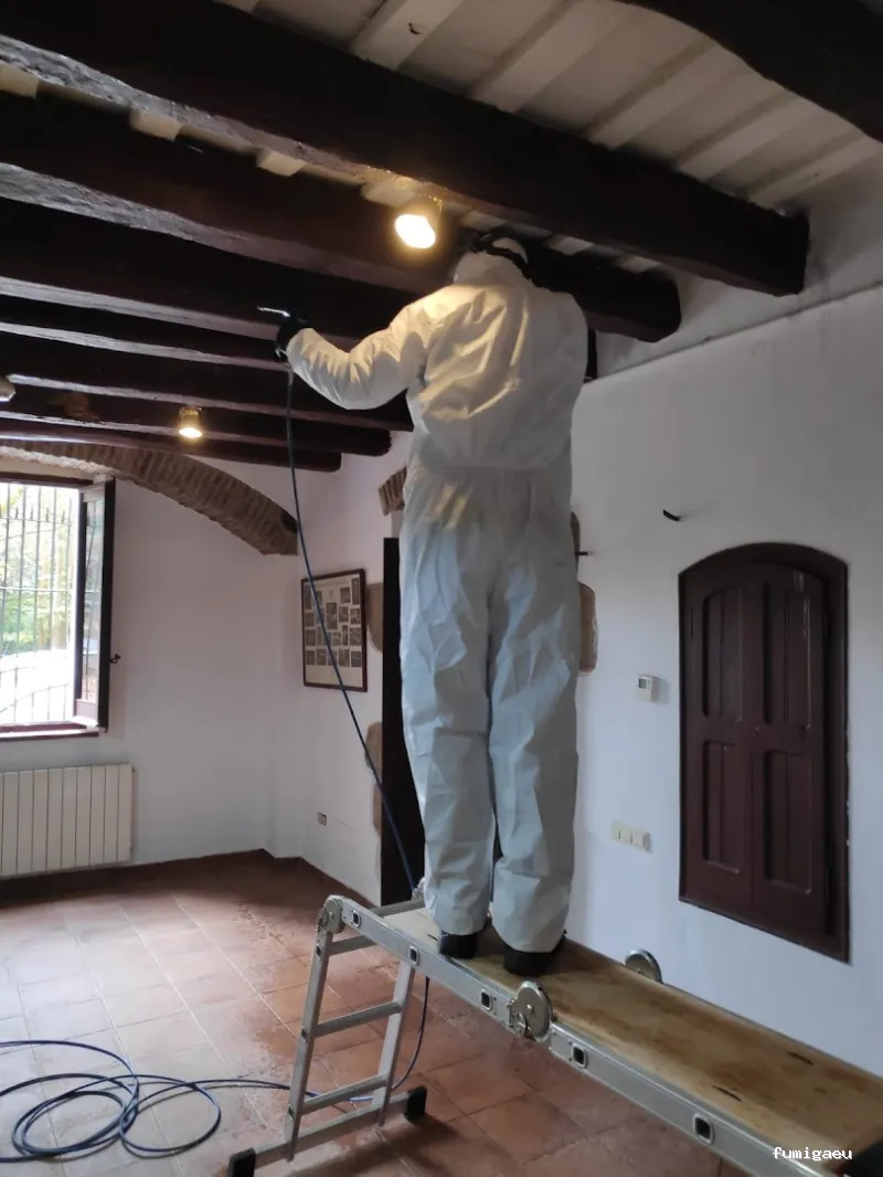 Desla Control De Plagas