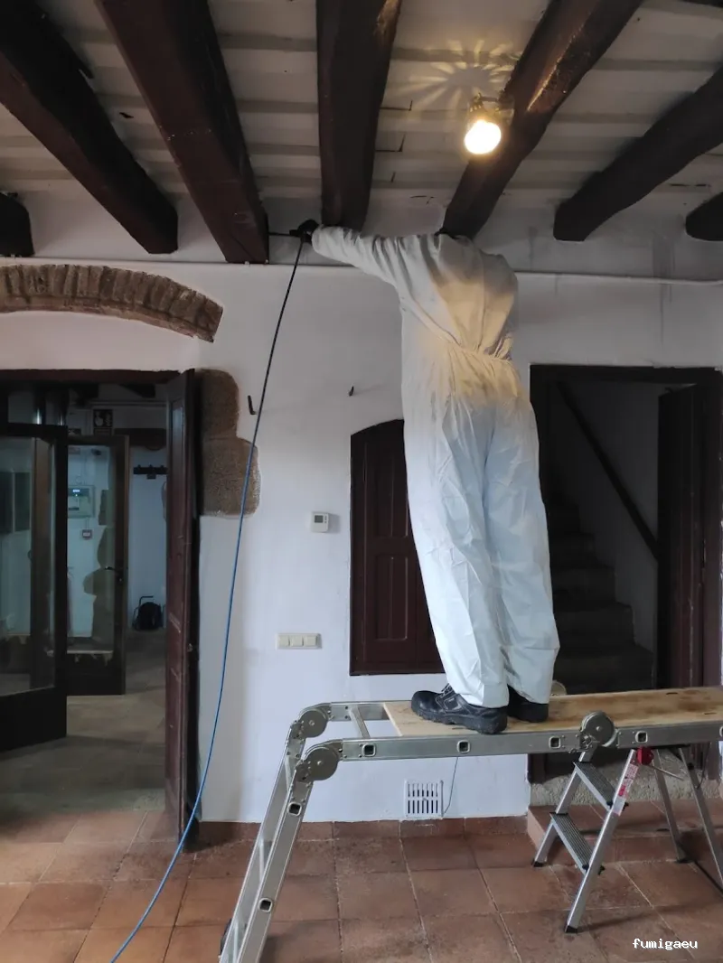 Desla Control De Plagas