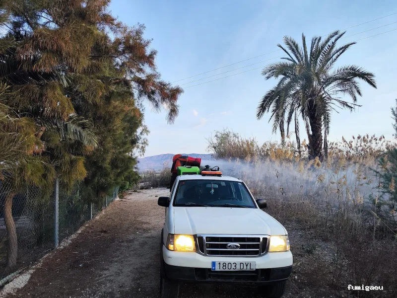 Tarsilo Control de plagas Pest control Services Fumigacion