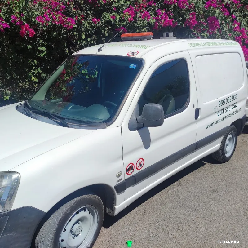 Tarsilo Control de plagas Pest control Services Fumigacion