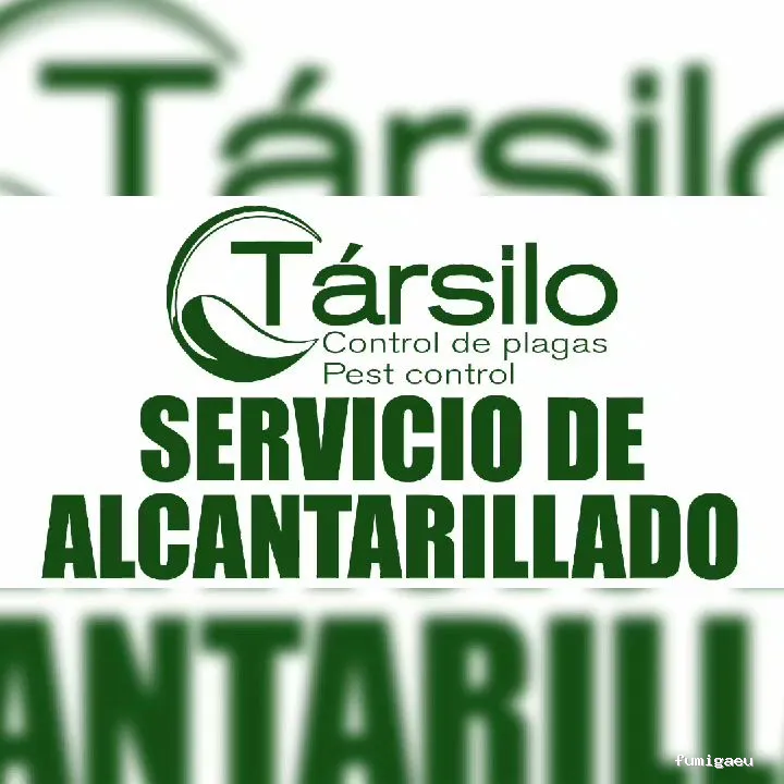 Tarsilo Control de plagas Pest control Services Fumigacion