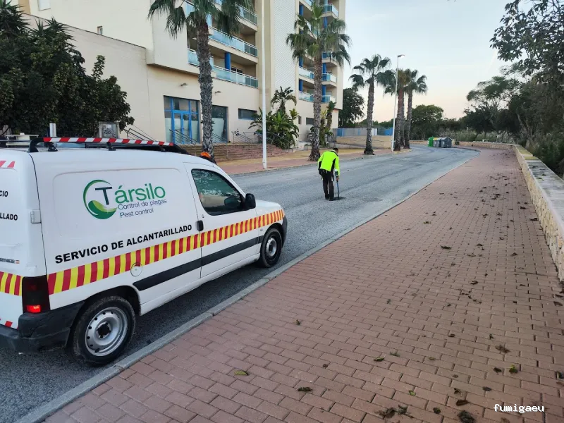 Tarsilo Control de plagas Pest control Services Fumigacion
