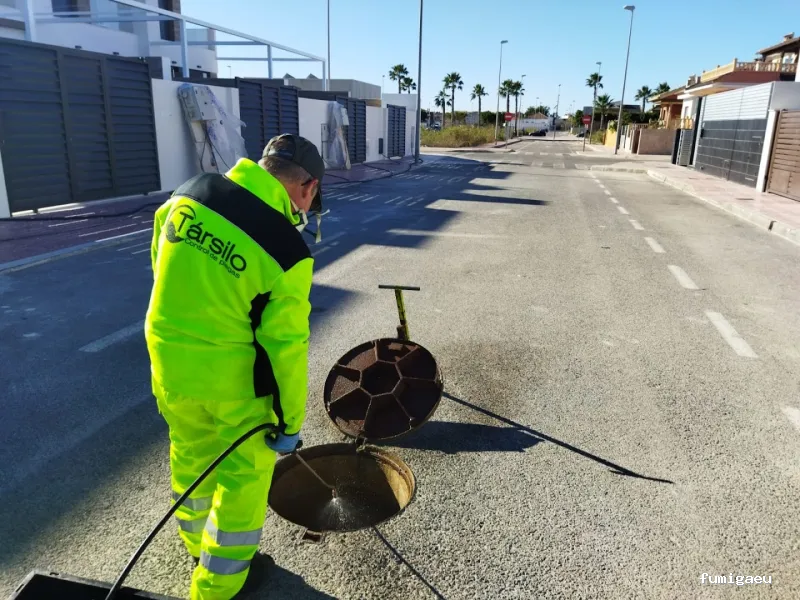 Tarsilo Control de plagas Pest control Services Fumigacion