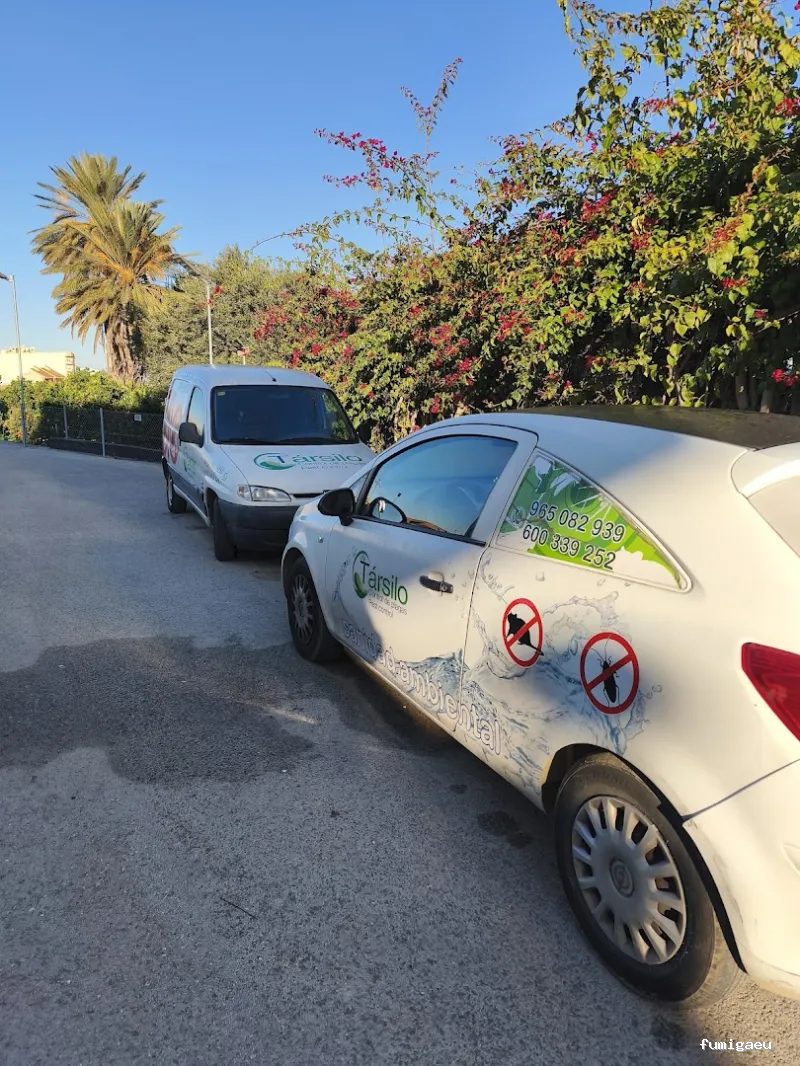Tarsilo Control de plagas Pest control Services Fumigacion
