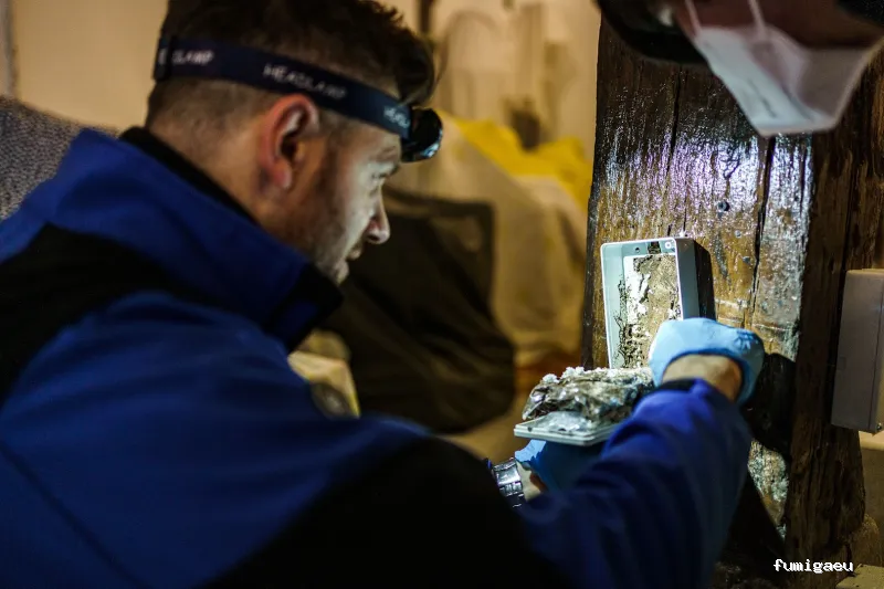 HCP Higiene y Control de Plagas