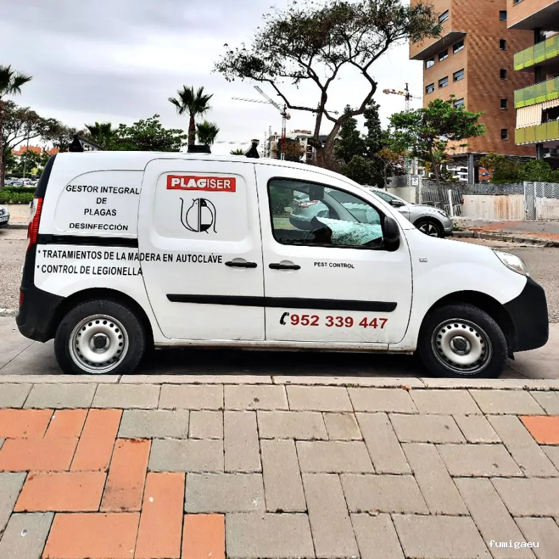 Plagiser - Control de Plagas en Málaga