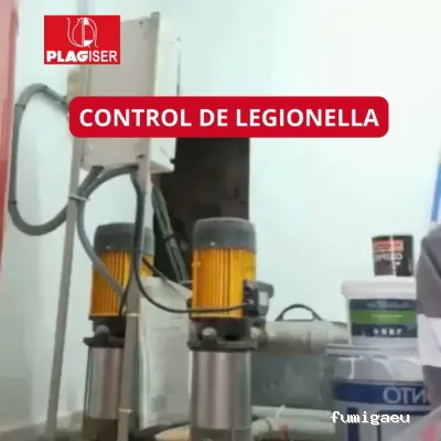 Plagiser - Control de Plagas en Málaga