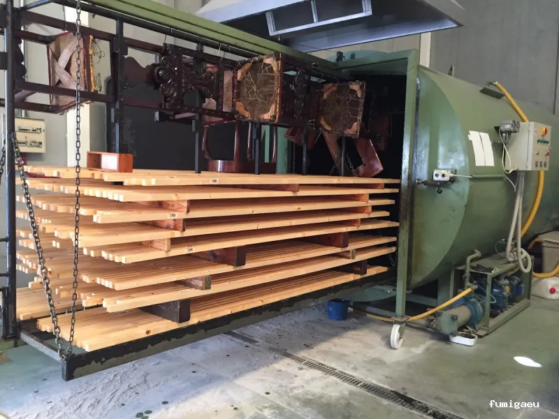 Plagiser - Control de Plagas en Málaga