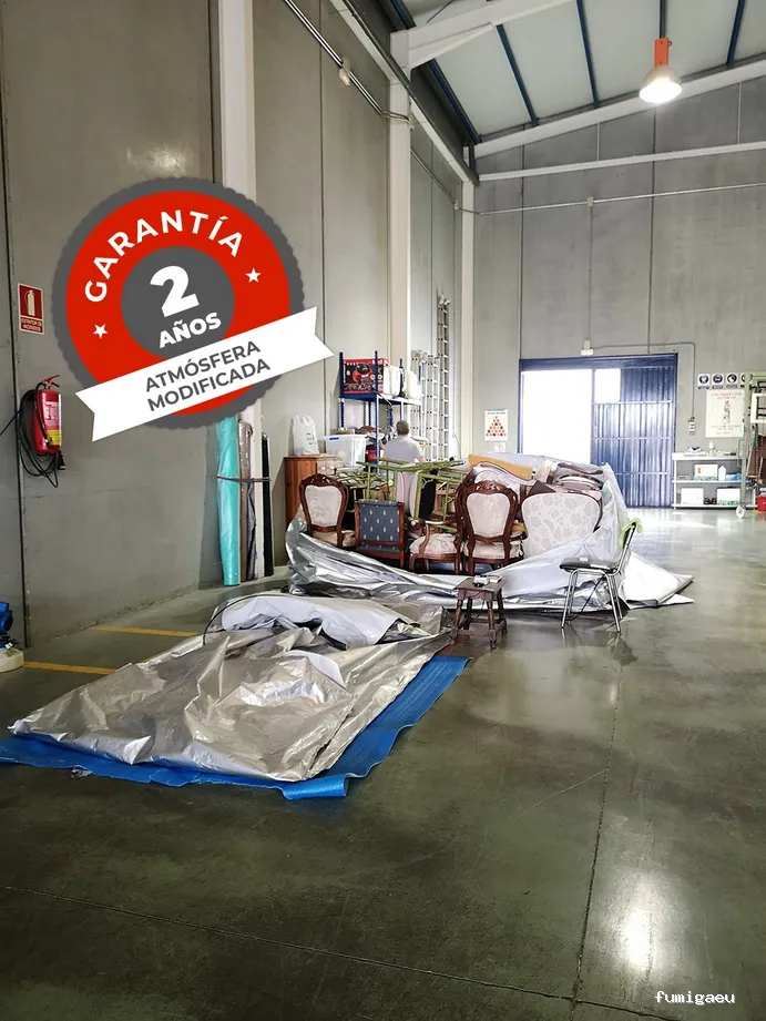 Plagiser - Control de Plagas en Málaga