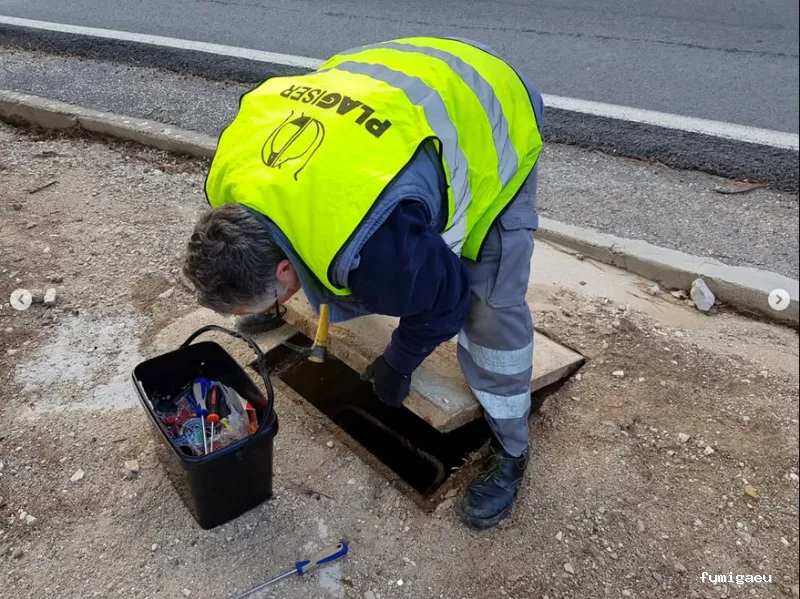 Plagiser - Control de Plagas en Málaga