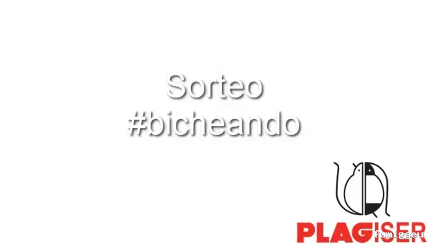 Plagiser - Control de Plagas en Málaga