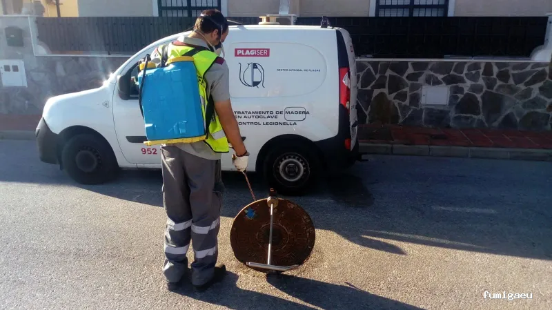 Plagiser - Control de Plagas en Málaga