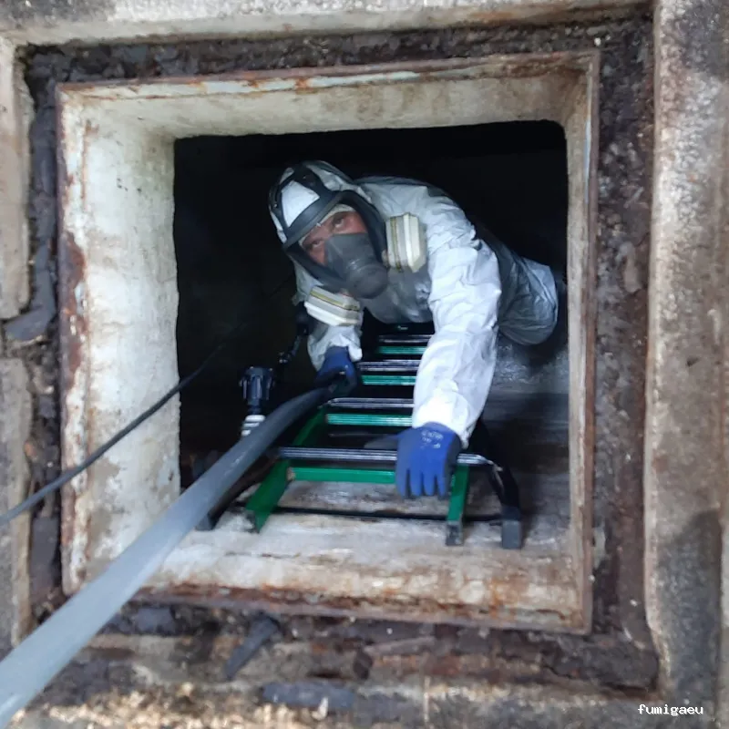 Plagiser - Control de Plagas en Málaga