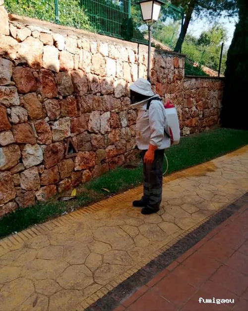 Plagiser - Control de Plagas en Málaga