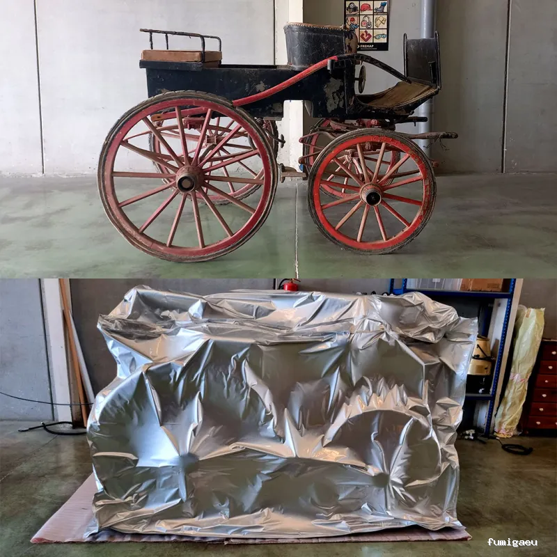 Plagiser - Control de Plagas en Málaga