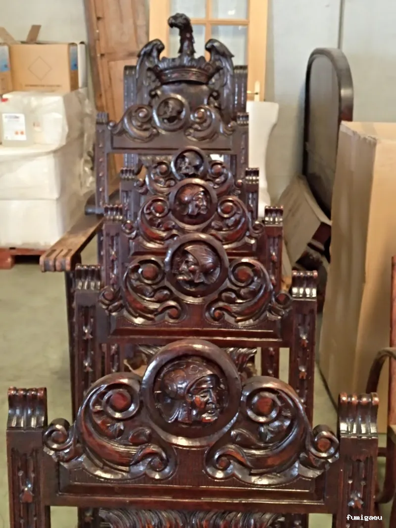 Plagiser - Control de Plagas en Málaga