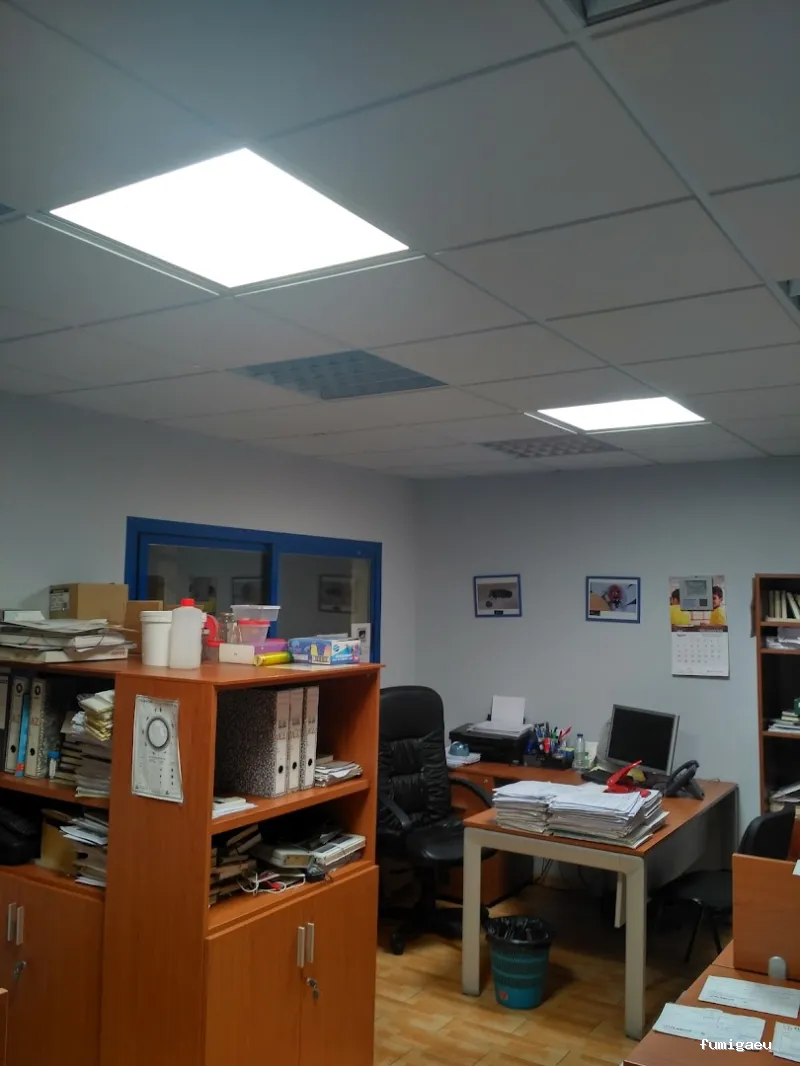 Plagiser - Control de Plagas en Málaga