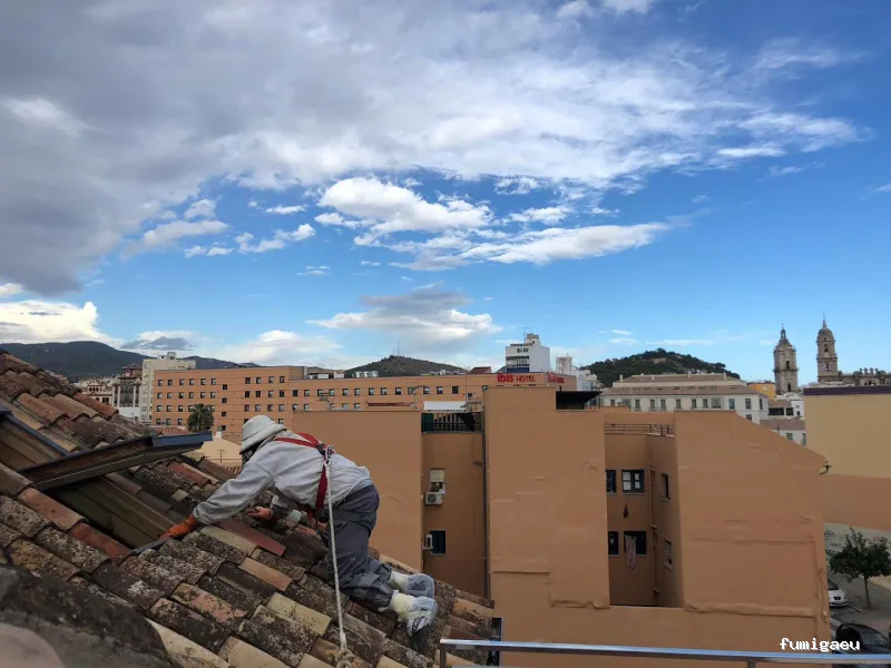 Plagiser - Control de Plagas en Málaga