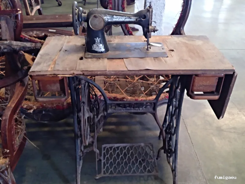 Plagiser - Control de Plagas en Málaga