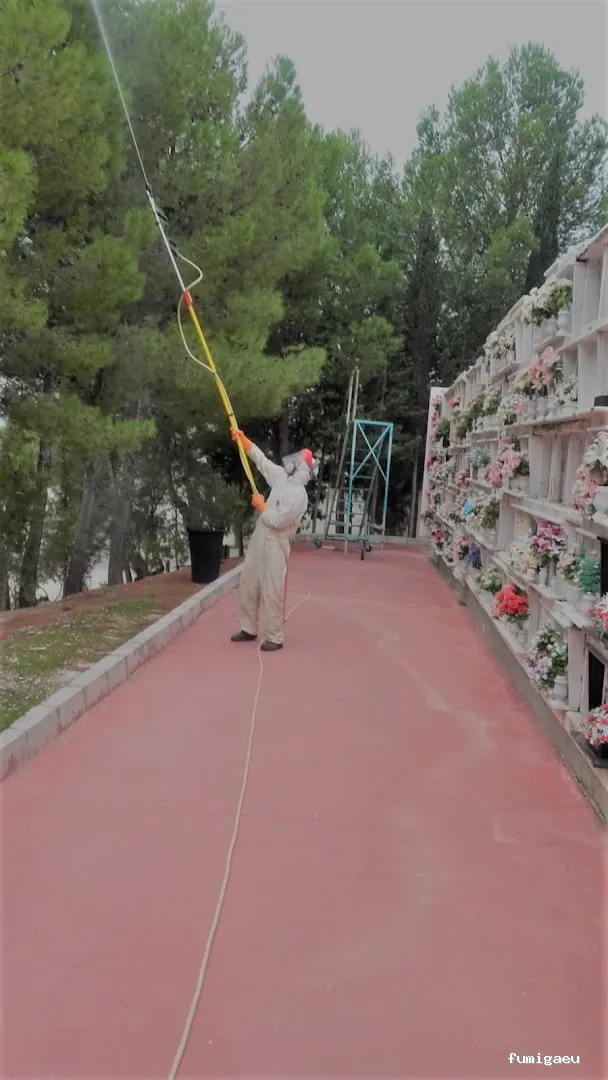 Plagiser - Control de Plagas en Málaga