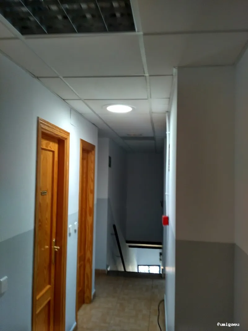 Plagiser - Control de Plagas en Málaga