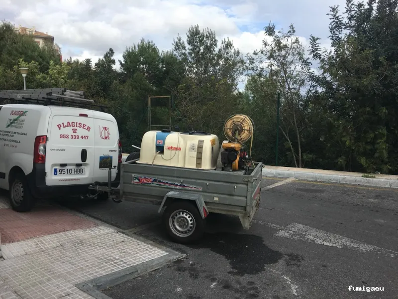 Plagiser - Control de Plagas en Málaga