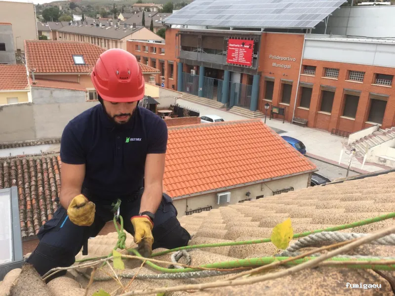 Bietrax Control de Plagas