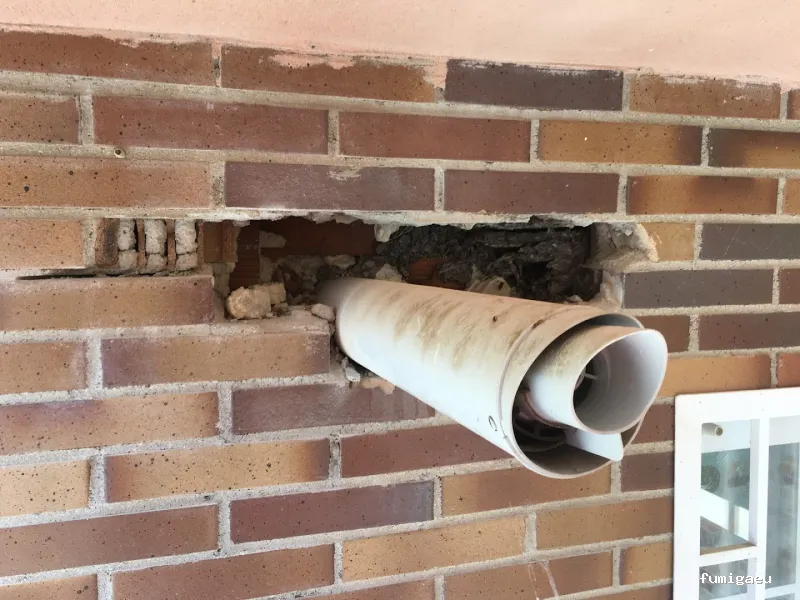 Bietrax Control de Plagas