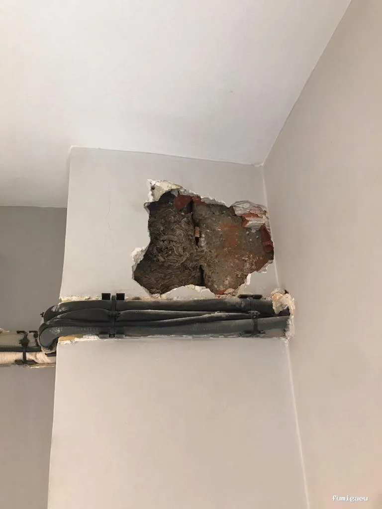 Bietrax Control de Plagas