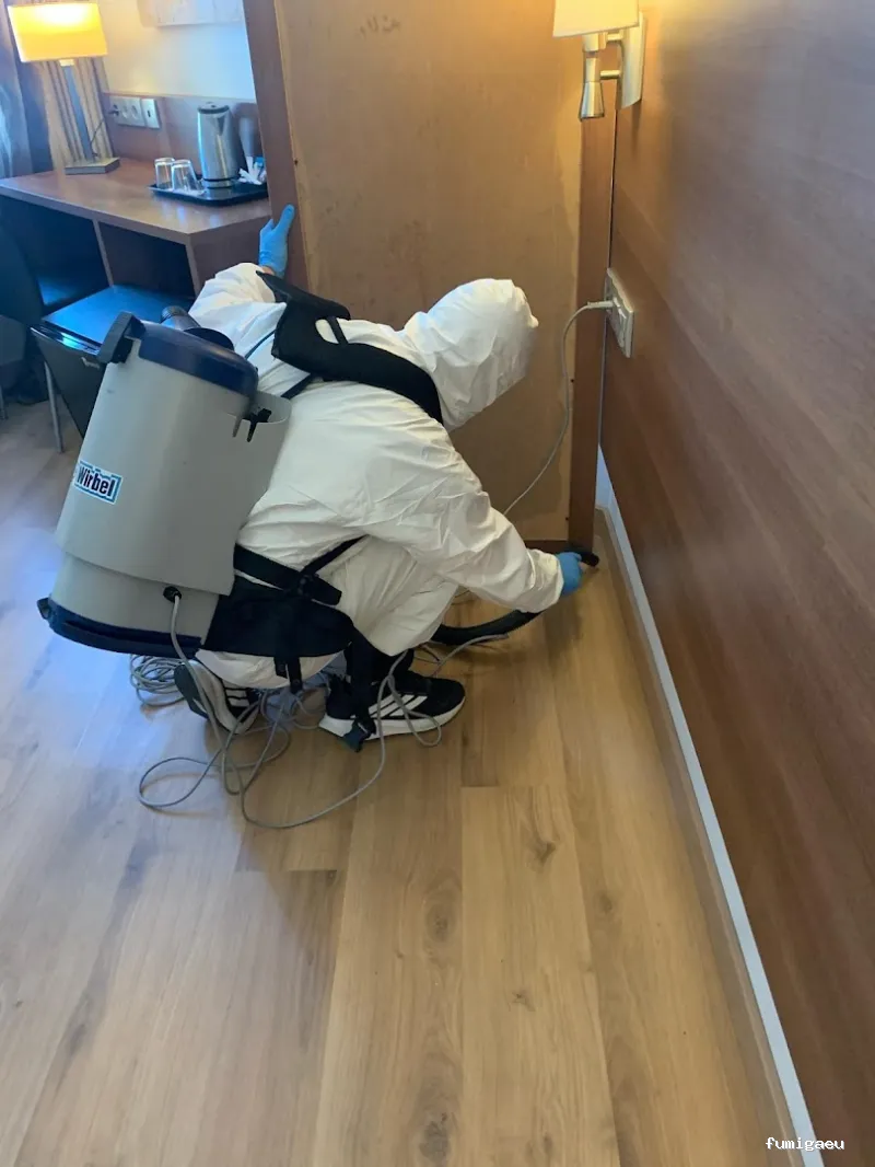 Cecsa Desinfecciones - Empresa de Control de Plagues y Fumigaciones Barcelona