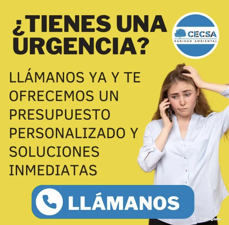 Cecsa Desinfecciones - Empresa de Control de Plagues y Fumigaciones Barcelona