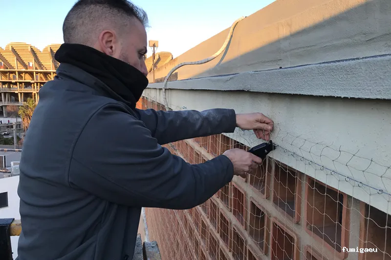 DDS Plagas | Control Termitas y Cucarachas