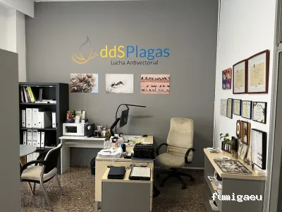 DDS Plagas | Control Termitas y Cucarachas