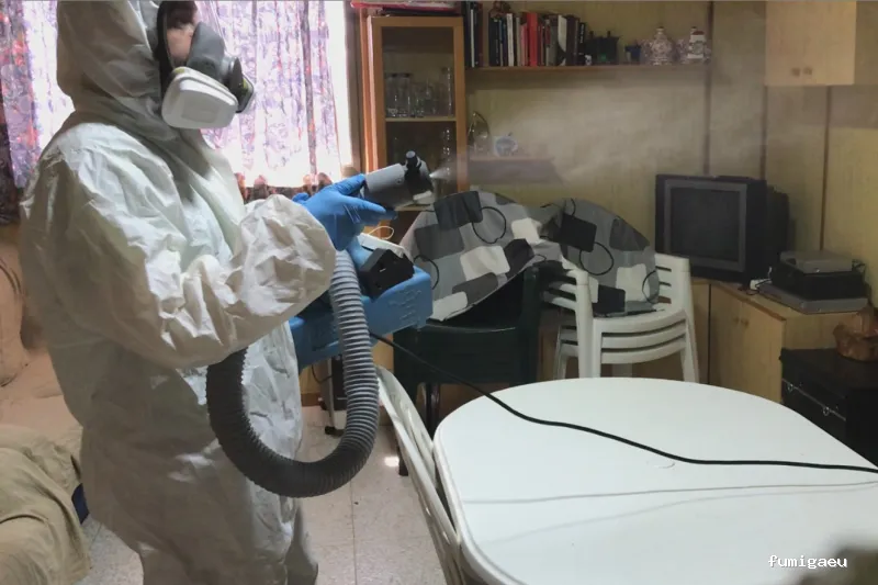 DDS Plagas | Control Termitas y Cucarachas