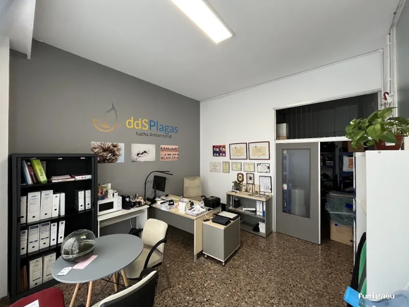 DDS Plagas | Control Termitas y Cucarachas