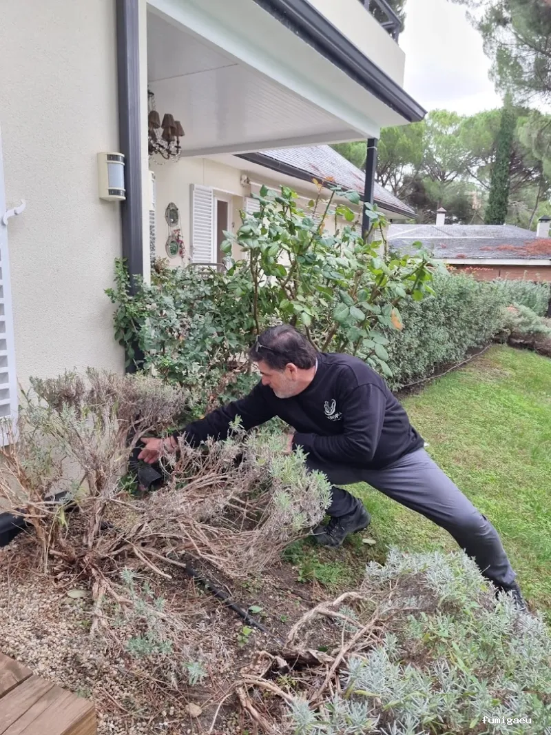 Zeroplag control de plagas