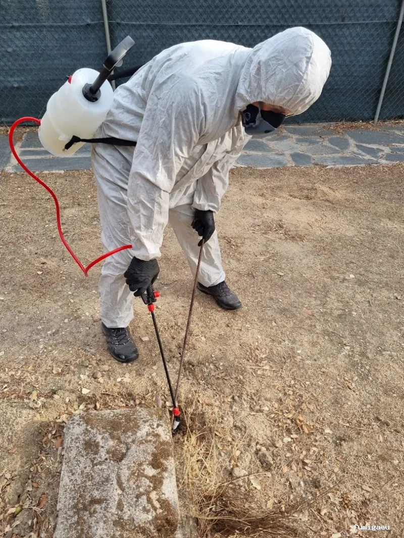 Zeroplag control de plagas