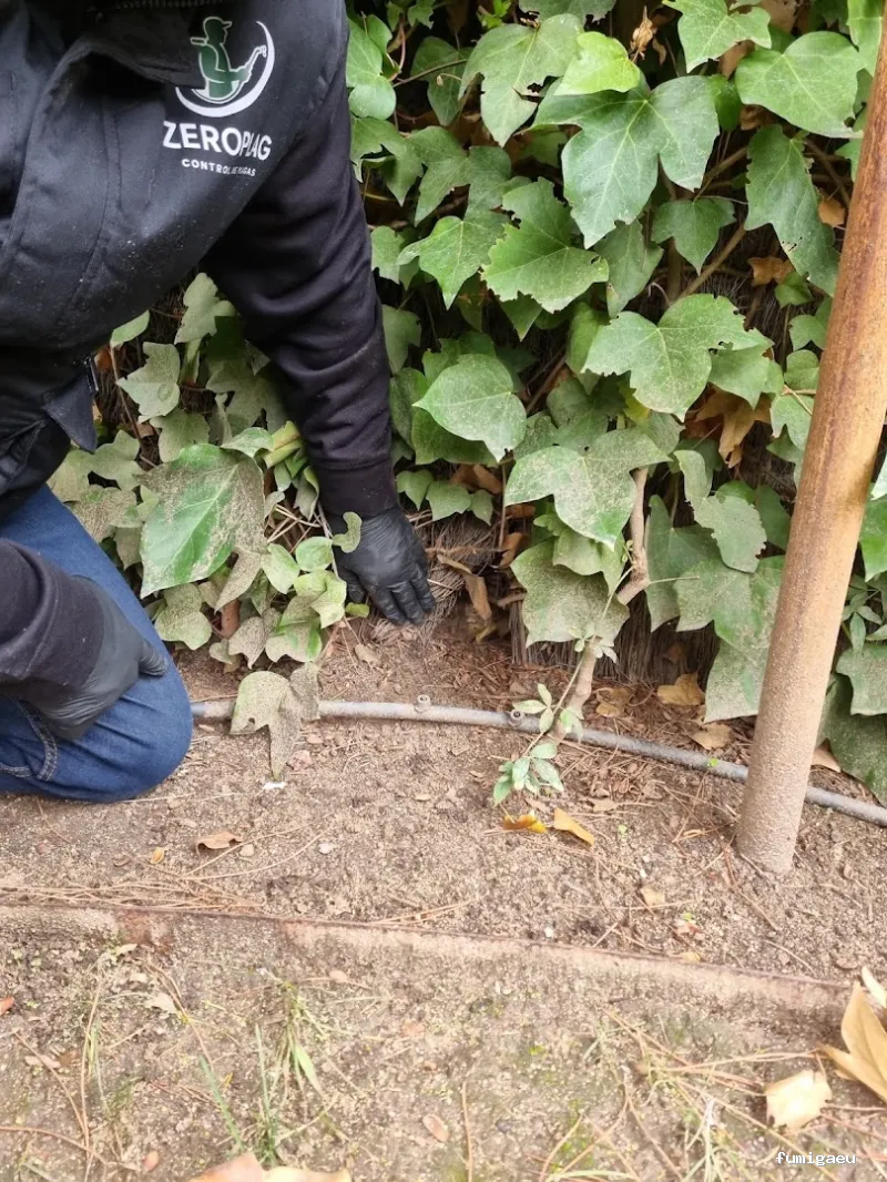 Zeroplag control de plagas