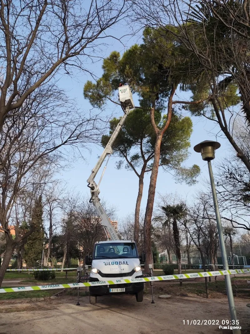 Compañía Tratamientos Levante S.L.