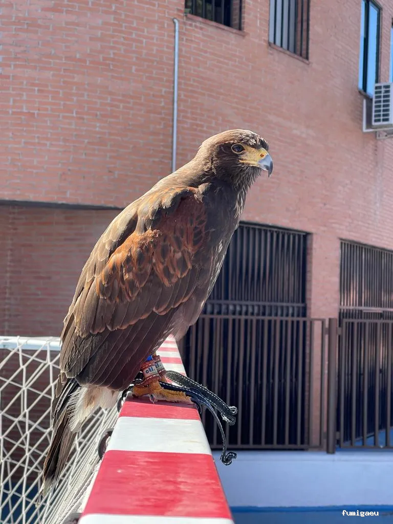 Compañía Tratamientos Levante S.L.