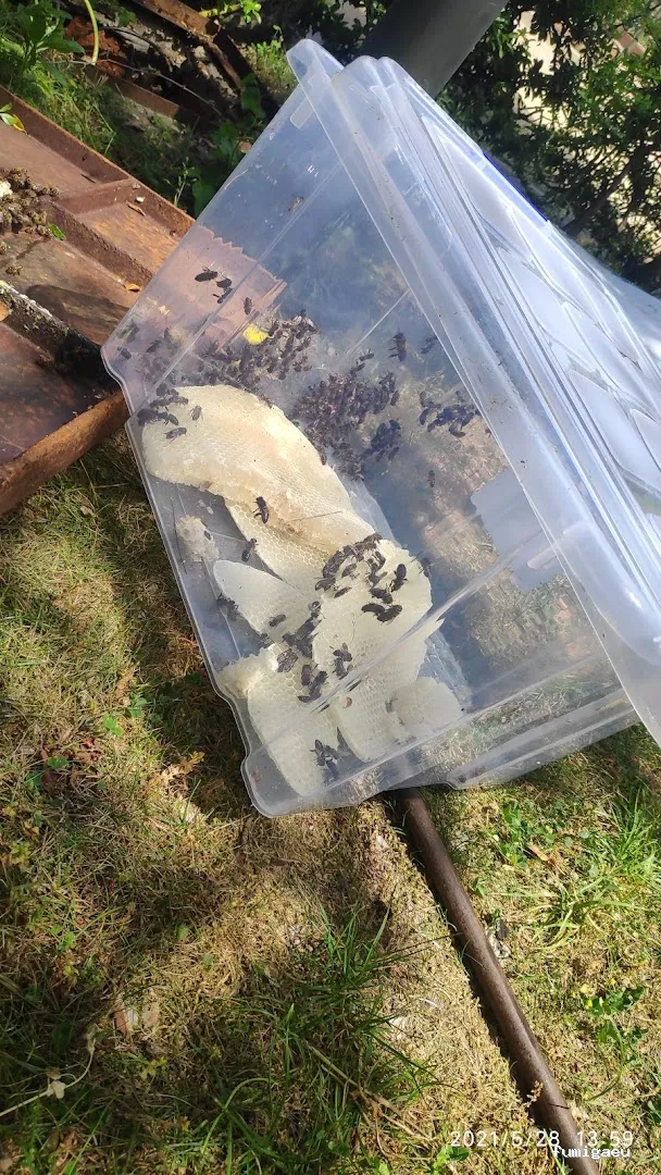 Compañía Tratamientos Levante S.L.