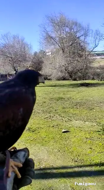 Compañía Tratamientos Levante S.L.