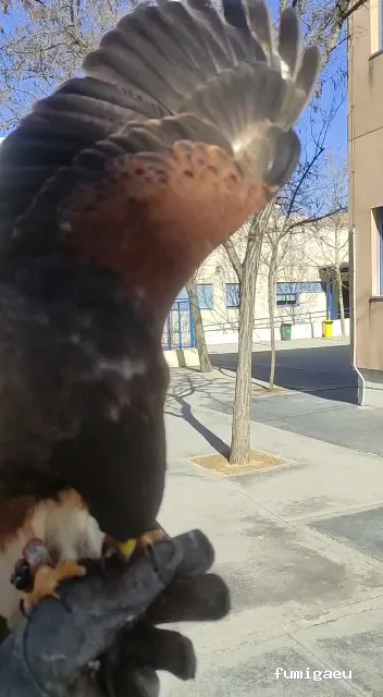 Compañía Tratamientos Levante S.L.