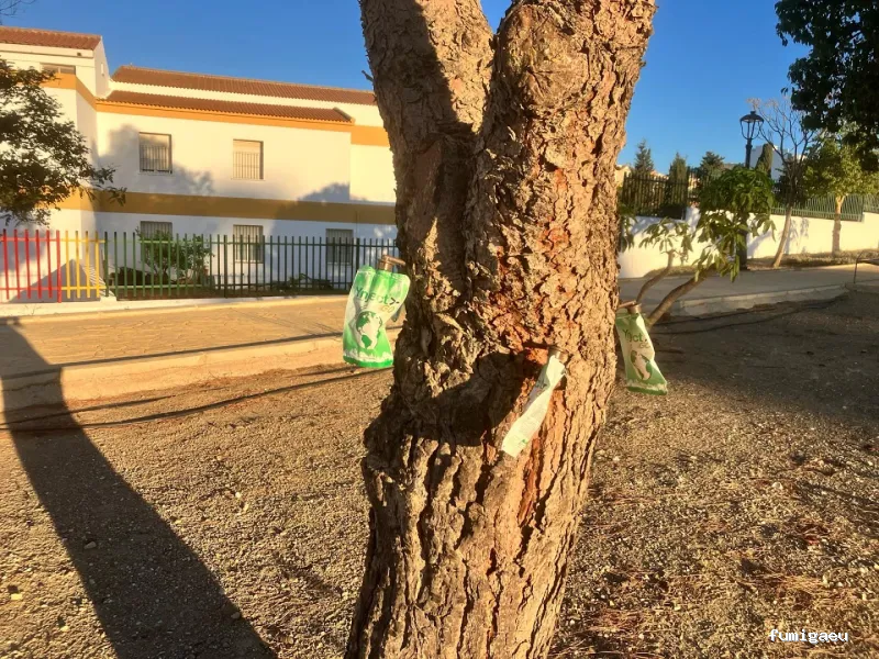 Plaguicidas Andalucía