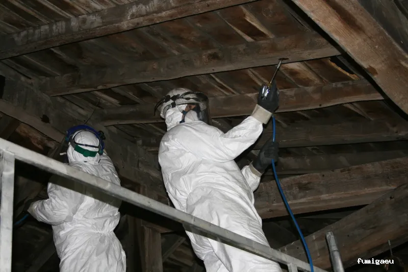 Control de Plagas - Técnica Sanitaria